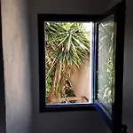 Hotel Little Vine