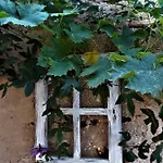 Hotel Little Vine *