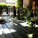 Little Vine
