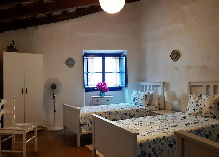 Hotel Little Vine