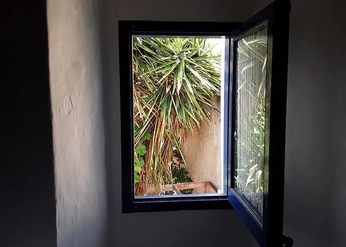Hotel Little Vine