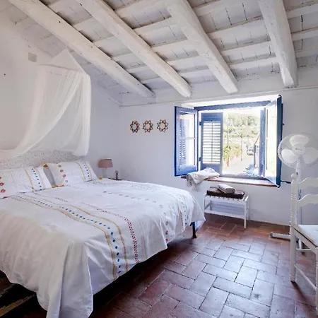 Bed and breakfast Little Vine