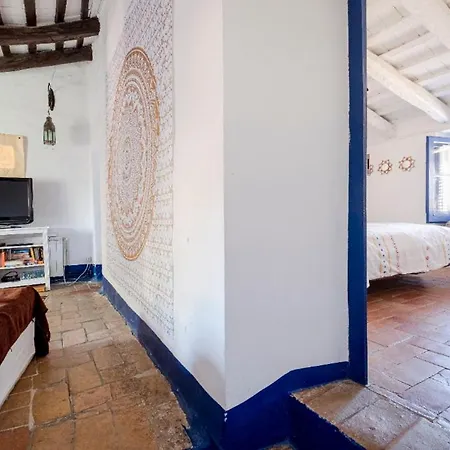 Bed and breakfast Little Vine *