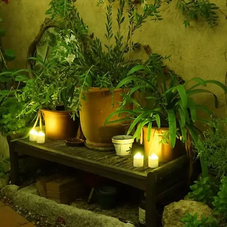 酒店 Little Vine 圣佩德罗-德里瓦斯