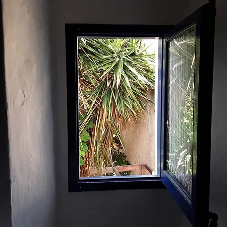 Bed and breakfast Little Vine
