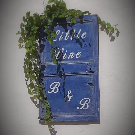Bed & Breakfast Little Vine Sant Pere De Ribes