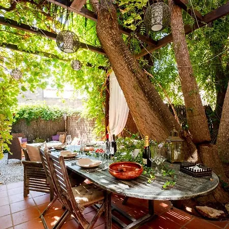 Little Vine Otel *
